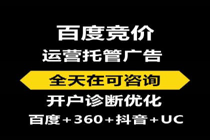 百度SEO优化公司案例：打造品牌网络曝光新高度